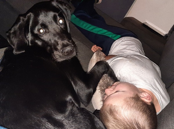 Nestgenootjes van Nero gezocht