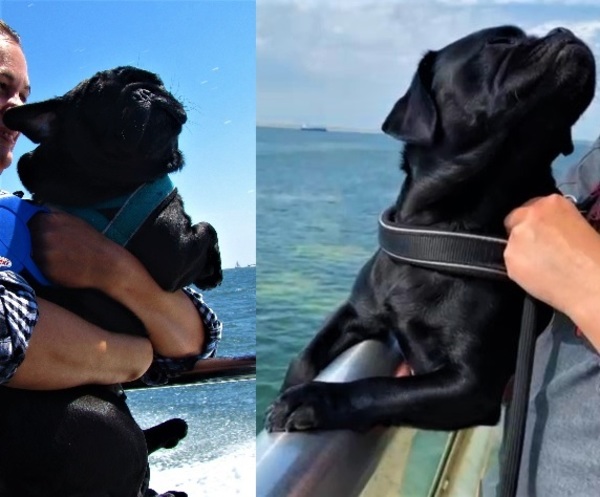 Something old, something new, something borrowed, something blue