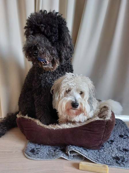 Liefde is...samen in een klein mandje