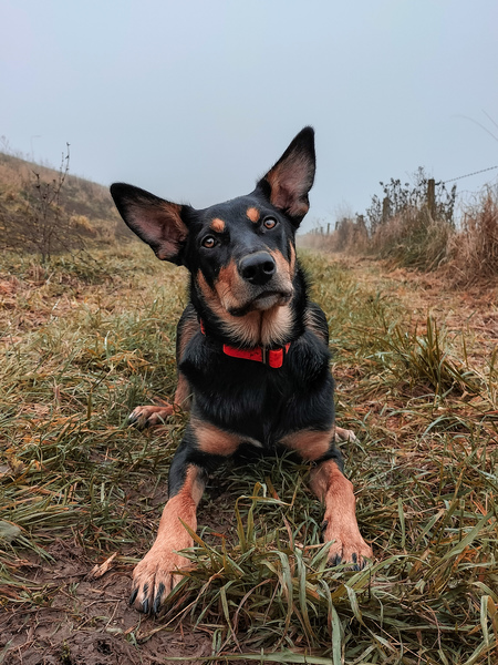 Ondanks de regen toch lekker buiten zijn