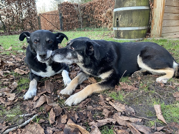 Lu zit Tony op de lip