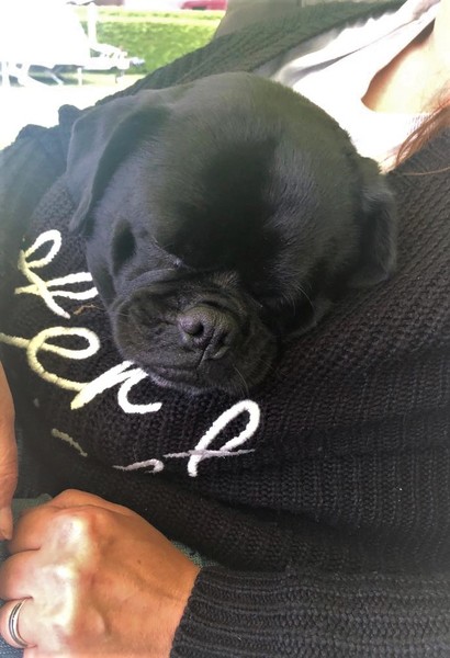 We doen het maar mee