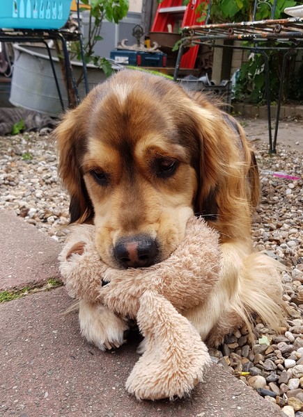 Ook om op te sabbelen