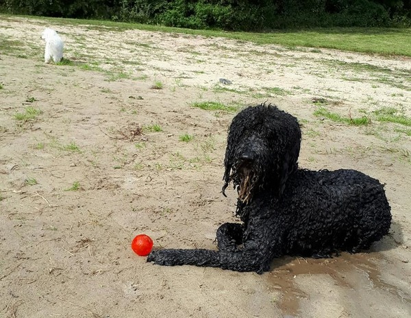 Heel trots op zijn balletje!