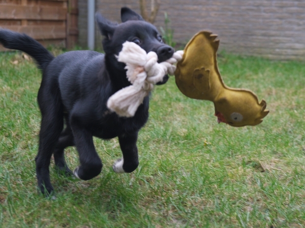 Ducky haar goede vriend