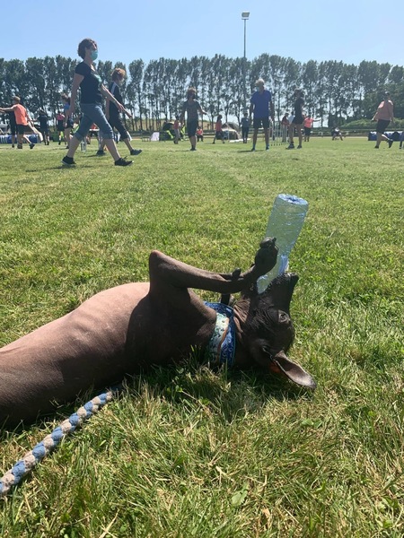 Sailor’s being cheap