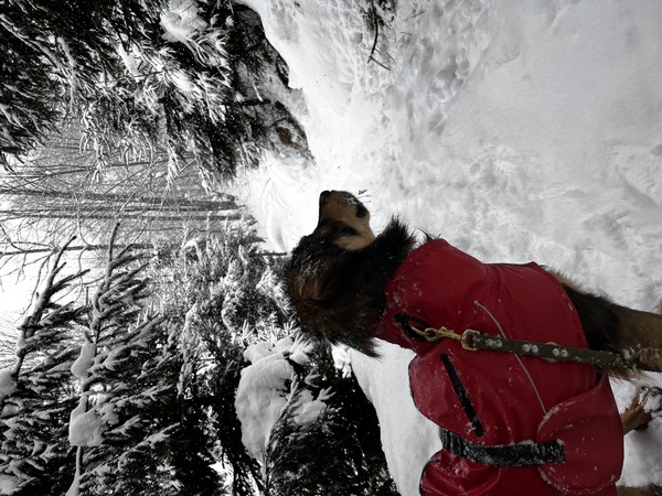 Freddie in Oostenrijk