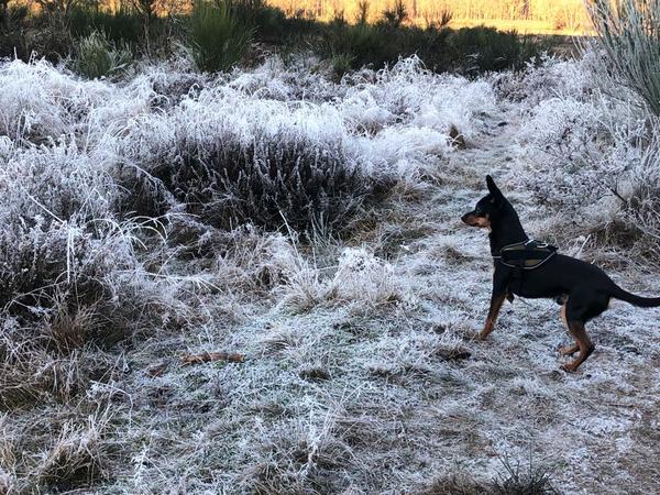 Onze kerstkaart afgelopen jaar 