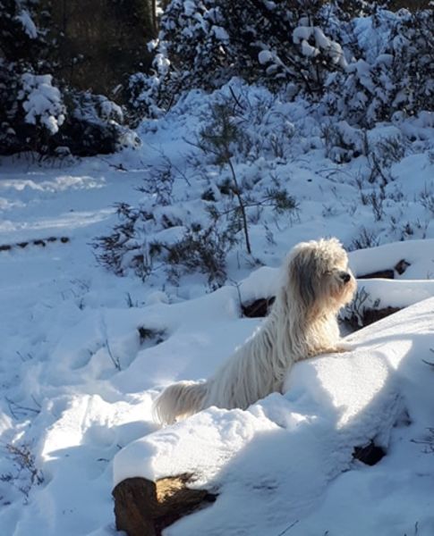 Wat een mooie wereld!