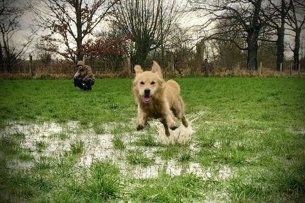 In de plassen springen.