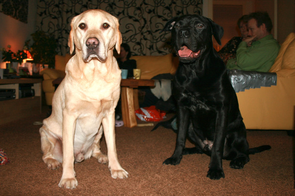 Jack samen met zijn vriendje ''Bas''