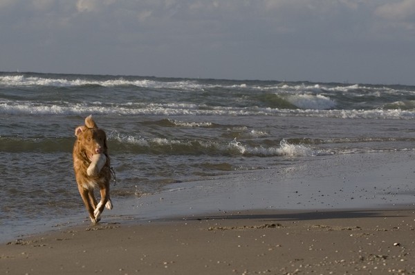 Yori langs de waterlijn
