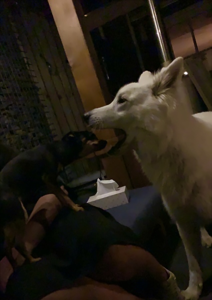 Even naar de tandarts;) 