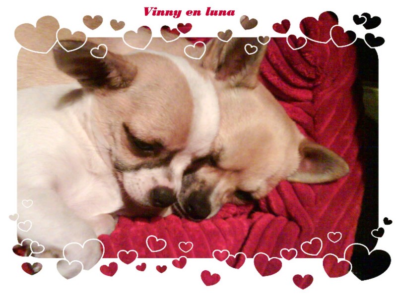 vinny en luna