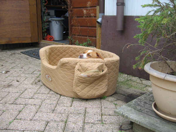 grote mand-kleine hond