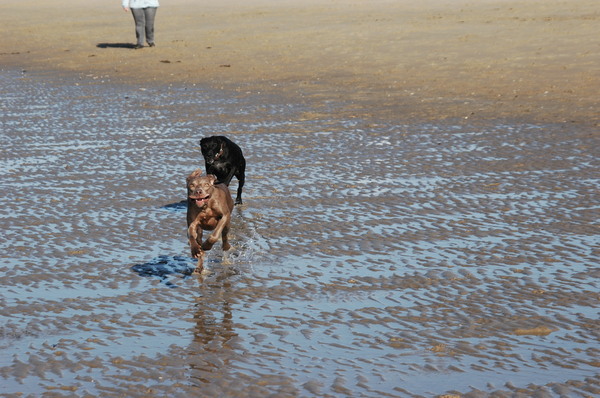 Zelfs als ze lelijk kijkt is ze lief !