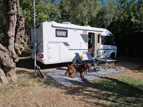 Hond mee in de camper