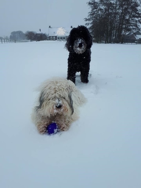 Het duo in de sneeuw