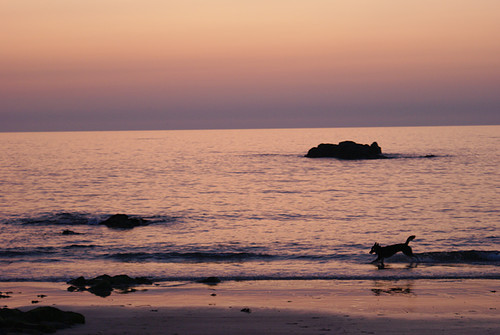 een huppel door zee bij zonsondergang