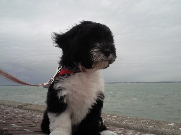 uitwaaien in vlissingen