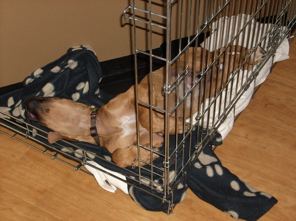 Lekker in dromenland...