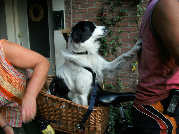 Een van de hobby`s van Frodo, fietsen met de baas