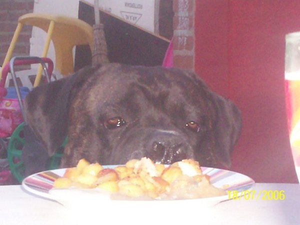 milano en het bord eten