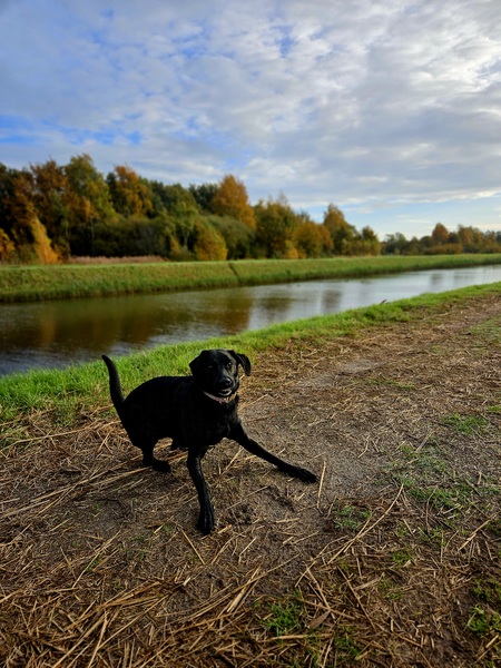Klaar met poseren nu, spelen!