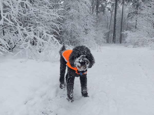 Wat is de sneeuw toch leuk!