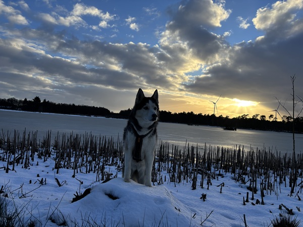 1e sneeuwwandeling dit jaar!