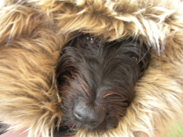 Lady en haar vage-bont...