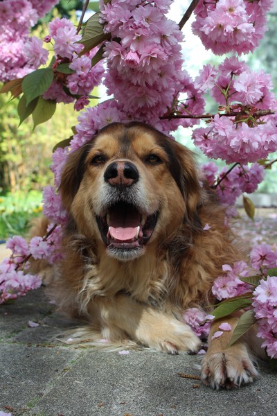 Roze is ook voor mannen!