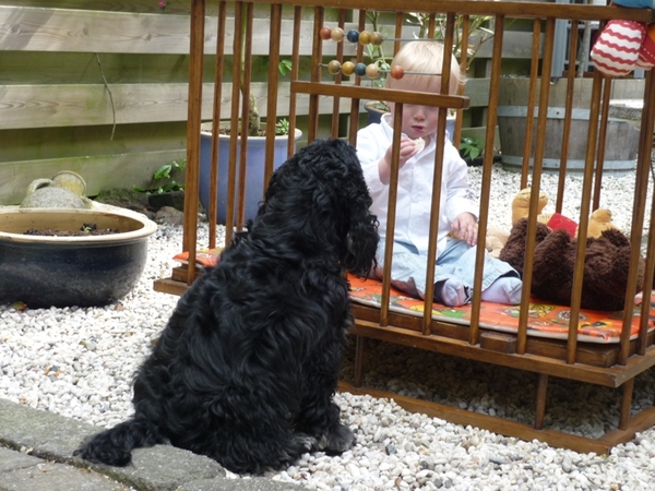 Day-See lust ook wel een rijstwafeltje