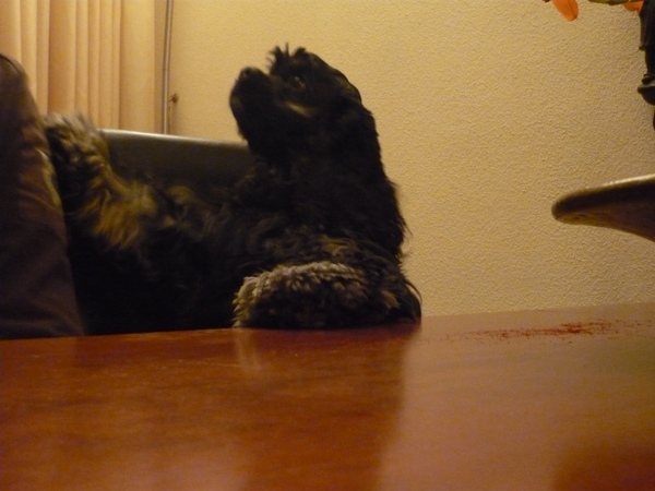 Baasje ik ben er ook nog.