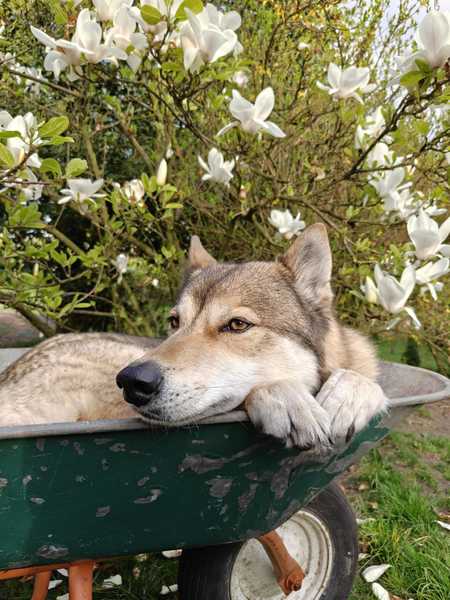 Abby op haar favoriete plekje 