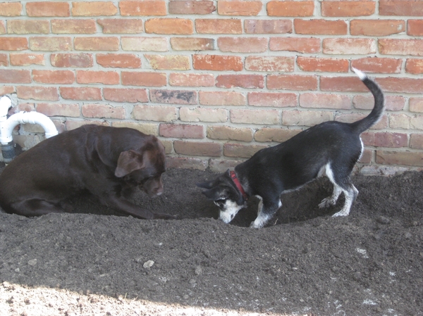 zo vies mogenlijk worden met zijn 2en!