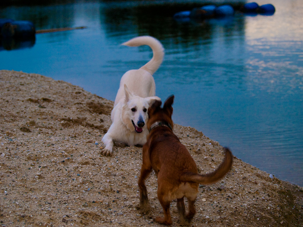 Rowan daagt Myla uit.