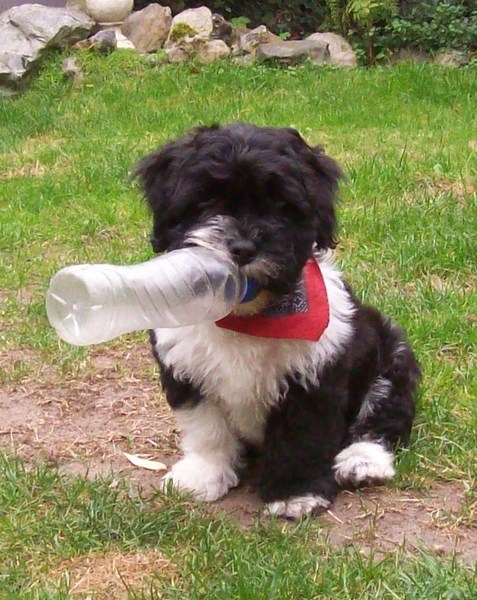 bink met zijn lege fles