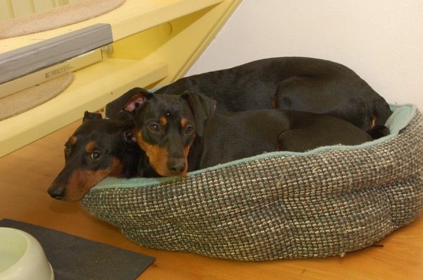 Er was toch nog iets