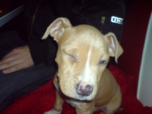 Eerste foto van D.J.