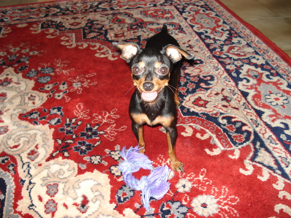 prutske met haar speelgoed