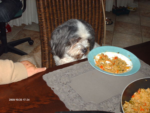 Oow aub baasje...  nasi daar ben ik dol op.