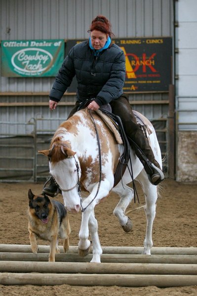 meedoen met de horse&dog trail