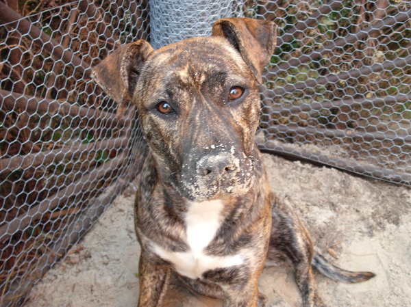 en graven is mijn hobby