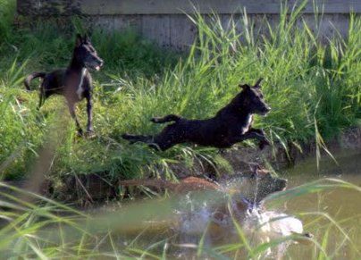 Wie heeft als eerste de stok