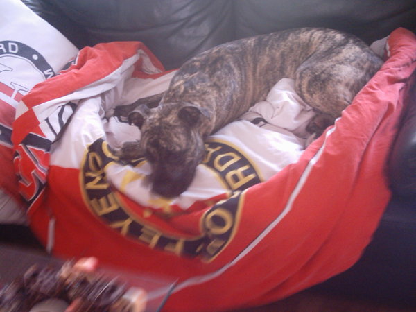 heerlijk chillen!!!!!