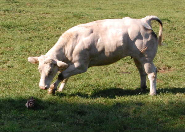 pak me dan ,als je kan