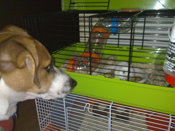 deejay met zijn hobby