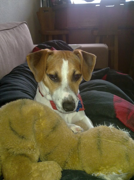 deejay met zijn hobby