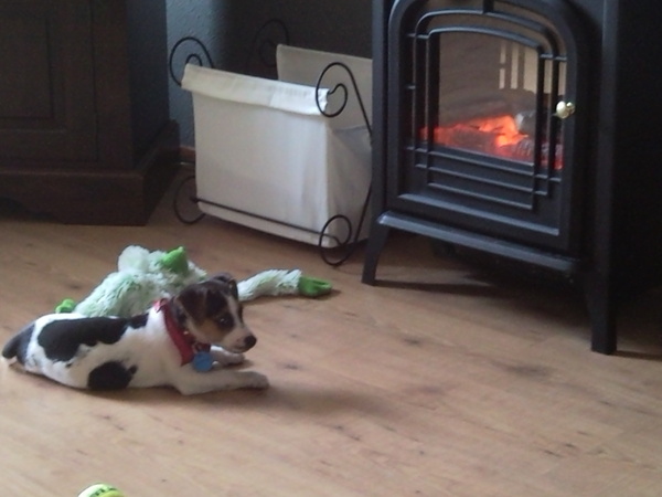 deejay met zijn hobby